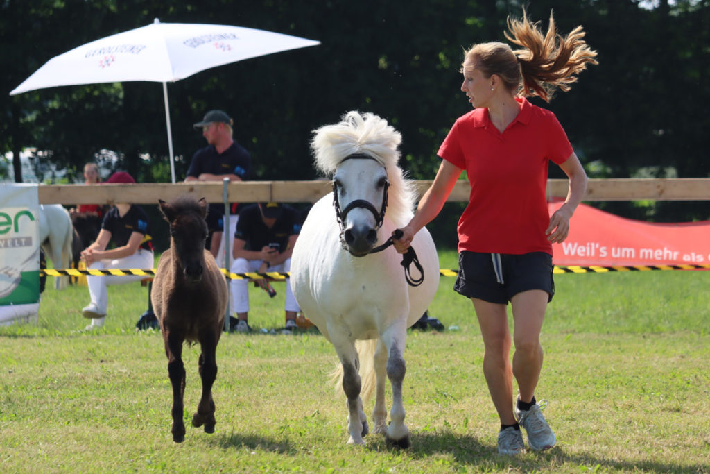 Cara Wird Siegerfohlen In Pfullendorf Ponyteam Biberach